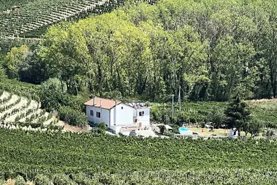 Image de Typical Piedmont Farmhouse set amongst the vineyards with pool and roof terrace