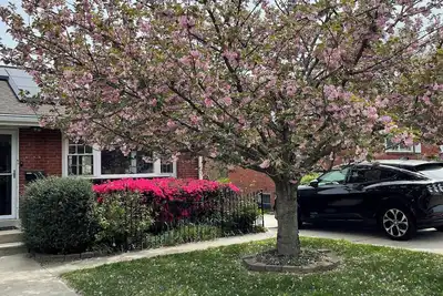 Image de Cozy 2-bedroom urban lair surrounded by parks