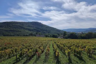 Image de L'Odyssée de Mélyna entre Beaujolais et Bourgogne - Gite 12 personnes à Jullié.