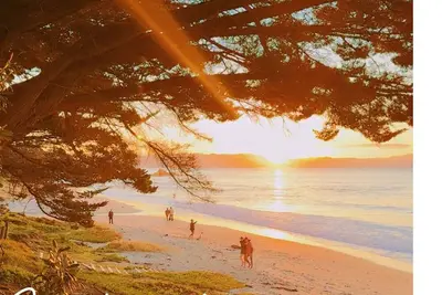 Image de Prime Location in Kuaotunu - Beach Across the Road!