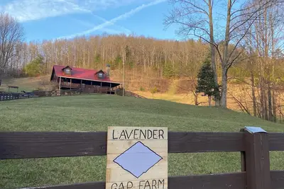 Image de Lavender Gap Farm. True Log cabin on 12 acre flower farm. Near At / Nat Forest