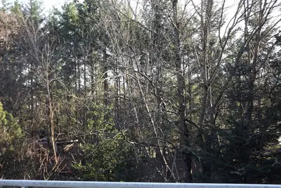 Image de Beautiful House in the Portland West Hills