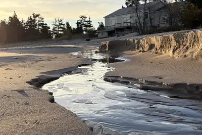 Image de Sandy Bottom: Directly on beach!