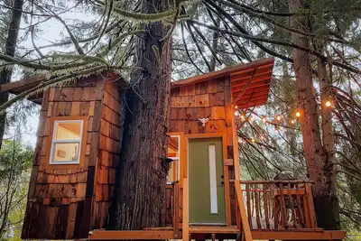 Image de Cozy, modern treehouse w/ WiFi & Smart Projector, outdoor shower & soak tub