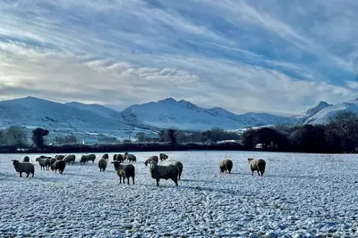 Image de Cottage de ferme confortable sur le Ring of Kerry
