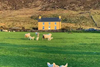 Hidden Hills Waterville Farmhouse