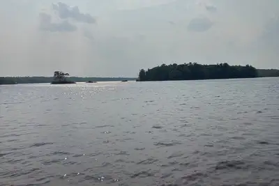 Image de Huge Private Beach • Cozy Forest-Edge Cottage Getaway