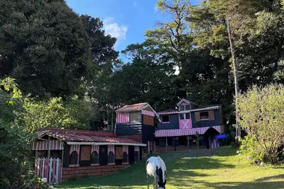Image de Alojamiento sencillo, sin lujos, ideal para descansar rodeado de naturaleza