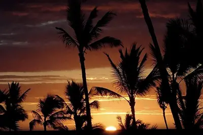 Image de Fantastic New Listing! Corner Condo_2 Blocks to Waikiki Beach! Parking/Wifi/Bbq