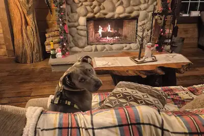 Image de Wilderness lodge on shediac river snowmobiling atv trails