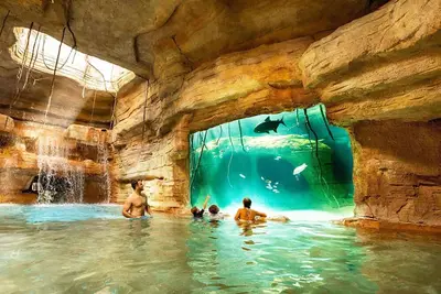 Image de 𝐅𝐢𝐧𝐝𝐢𝐧𝐠 𝐌𝐞𝐢𝐥𝐢:Ultimate Bahamian Adventure. Harborside Resort@Atlantis