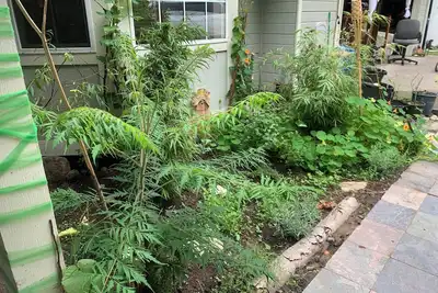 Image de Peaceful Private Forest Trails and Zen Gardens Weddings Events Healing Sanctuary