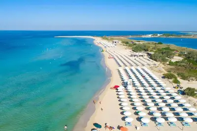 Image de Pajara Fazzadio by Vivimy