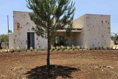 Image de Villa dans une oliveraie centenaire