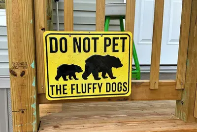 Image de If you prefer wildlife over nightlife this is the place for you, Fakahatchee!