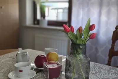 Image de Krakow Tauron Arena Apartment, Polish Pilots Park and concerts at Tauron Arena