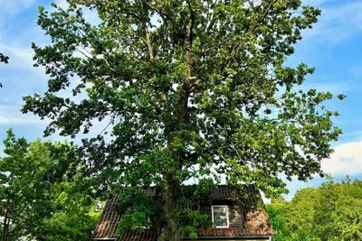 Image de House in Masurian Lake District