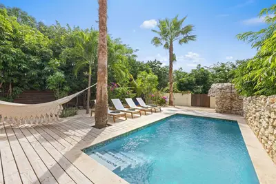 Image de The Hidden Palm