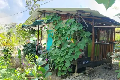 Image de Paradise cabin