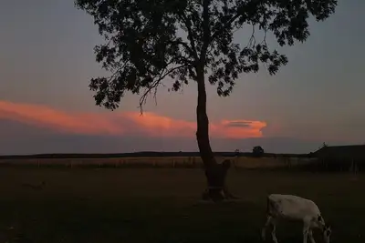 Image de Appartement « Lütt Smedhoff - Dresden » avec piscine commune, jardin et Wi-Fi