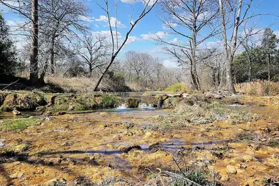 Fox Hollow | Creekside Tiny House with Loft, Deck & Fire Pit in Wimberley