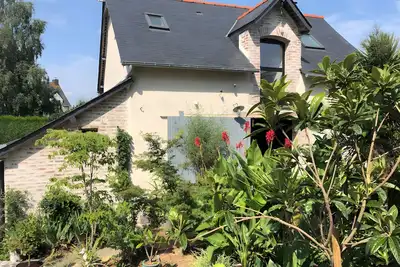 Image de La petite maison dans la jungle
