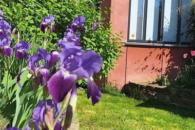 Image de Logement au cœur du vignoble nantais - proche clisson