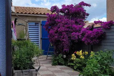 Image de Pavillon cosy avec terrasse à 250m de la plage!