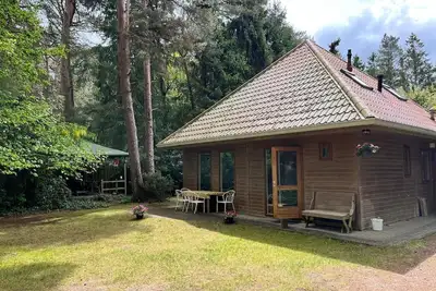 Forest house  Rosa