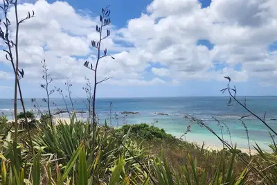 Image de Paradise Hq Pukenui