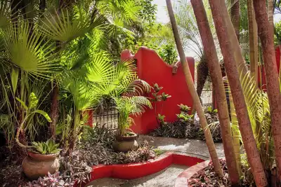 Image de Casa Roja Lower · Pool & Patio · Local Sayulita