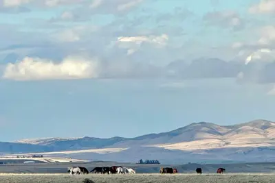 Image de Relax in a private, designer two-story suite overlooking the Madison Valley