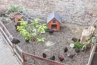 Image de Merveilleuse maison de vacances pour 4 personnes avec Wifi, Tv et animaux admis