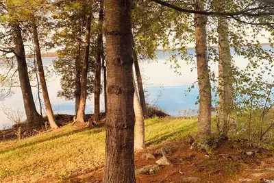 Image de Nature Lovers - Waterfront - Lower Rideau Lake - Dog Friendly!