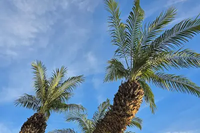 Image de Adorable 3-bedroom house with Ac in charming San Miguel