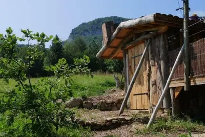 Image de Rare, vue imprenable au coeur de la Forêt, ressourcement garantie
