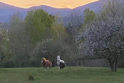 Image de Pleasant campground retreat in Wadhams perfect for outdoor lovers