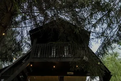 Image de The Blackbird Cabin