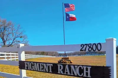 Image de Gerrie's Place at Figment Llama Ranch Foundation  -  Near Round Top Tx