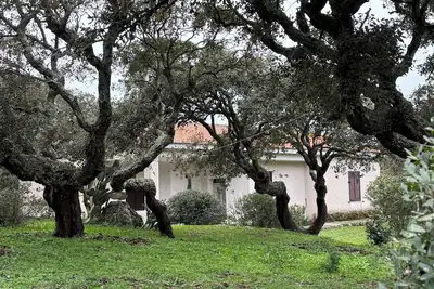 Image de HouseB2 surrounded by nature and its animals