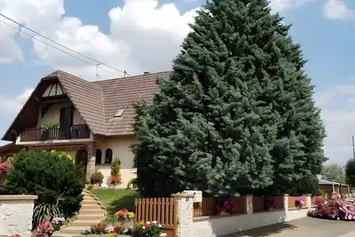 Image de Chambres d'hôtes - chambre pampas (+ chambre elie)