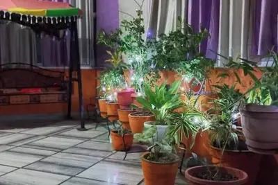 Image de Kashi Pravas 3