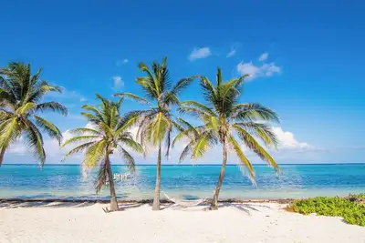 Image de Snuggle Beach  Romantic & Charming 1-bedroom Apt. in enchanting East End with Ac