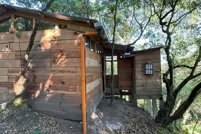 Image de Miralbosque