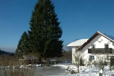 Image de Wohnung in Haidmühle mit Garten und Grill by Interhome