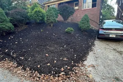 Image de Nfl Draft Experience in Pittsburgh! Charming 3-bedroom house in Oakland