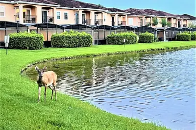 Image de #2710 Stunning LakeFront Priv Spa Pool Disney Epic