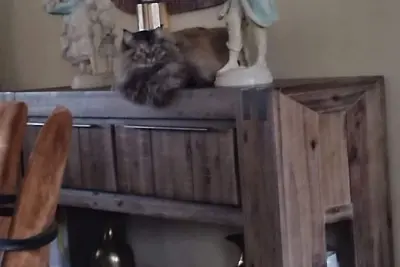 Image de Nice 2-bedroom house in pleasant Rumst neighborhood, 1 km from TommorowlandBoom