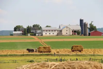 Image de Lancaster County Amish Farm Stay - Near Kitchen Kettle Village in Intercourse