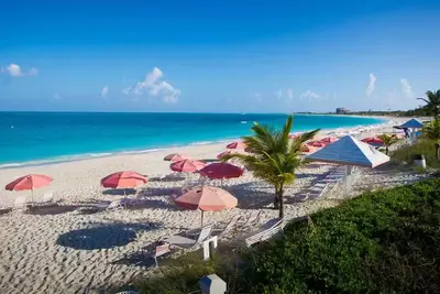 Image de Beach Monkeys Retreat! “Newly Renovated”